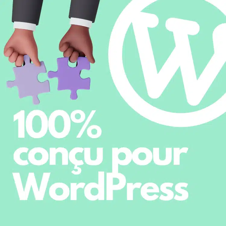 woocommerce intégration wordpress